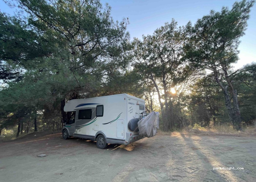 (35920) Çamlık - — foto 4