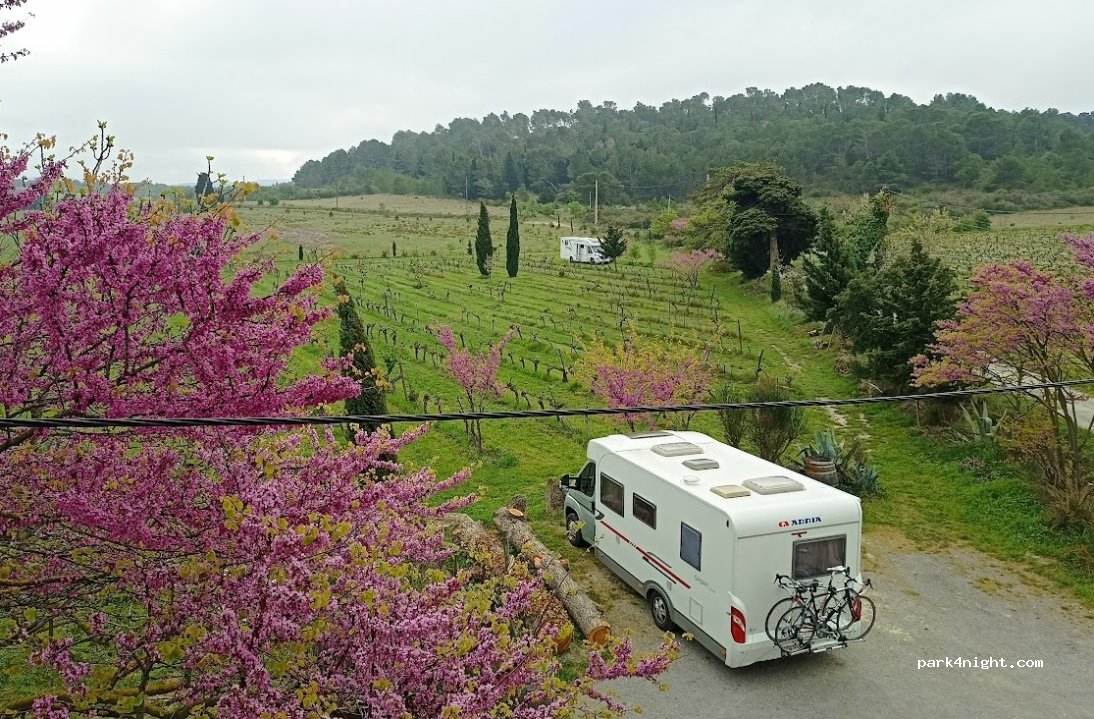 Domaine de Mingraut — foto 4