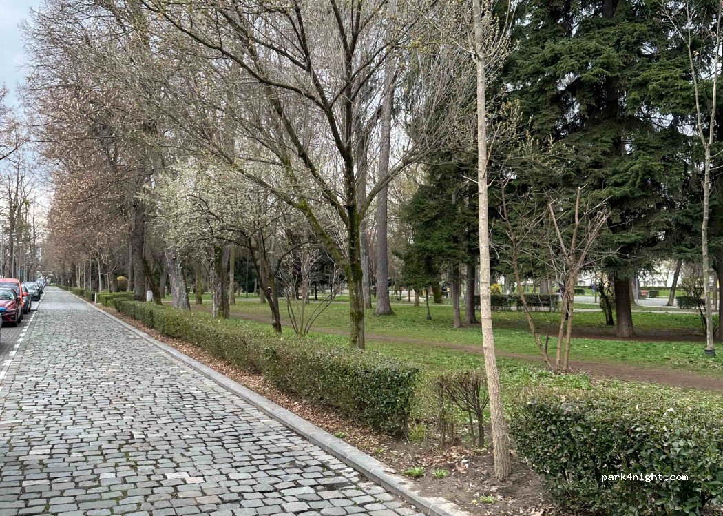 (400347) Cluj-Napoca - 21 Strada Arany János — foto 2