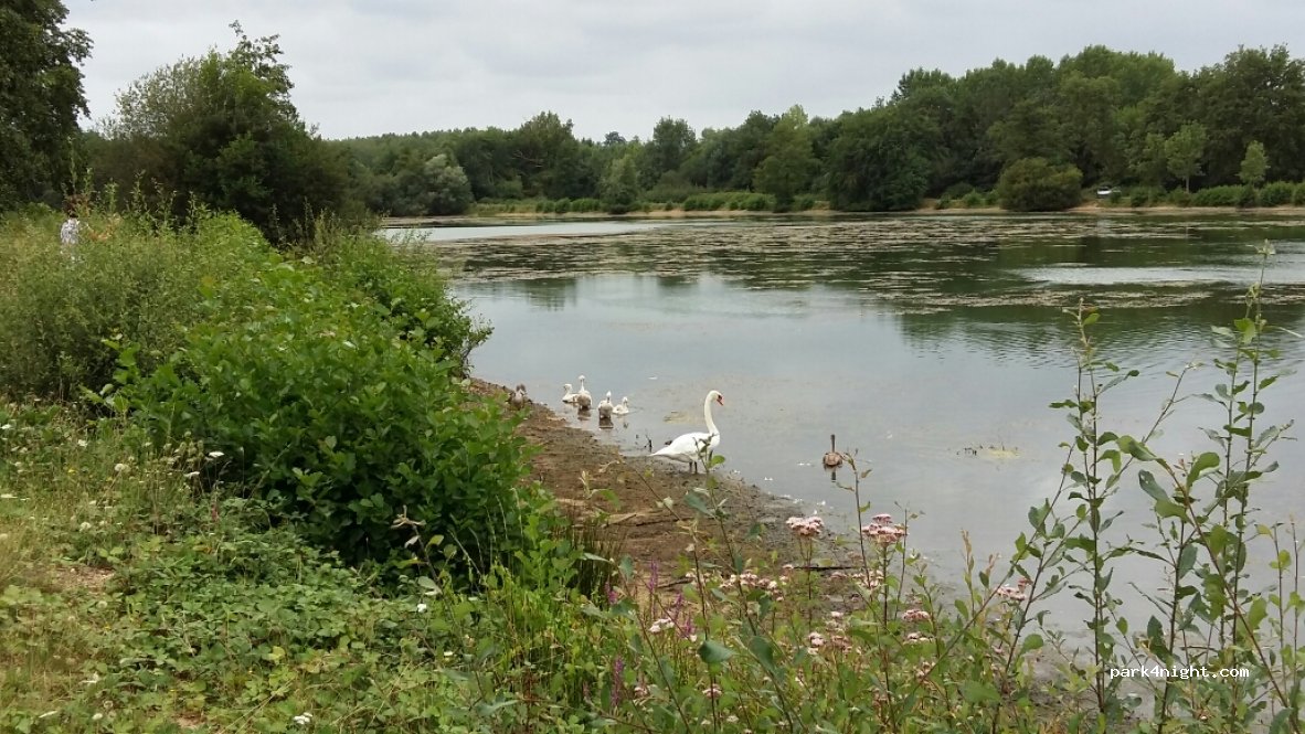 (72200) Bazouges-sur-le-Loir - Plaine des Granges — foto
