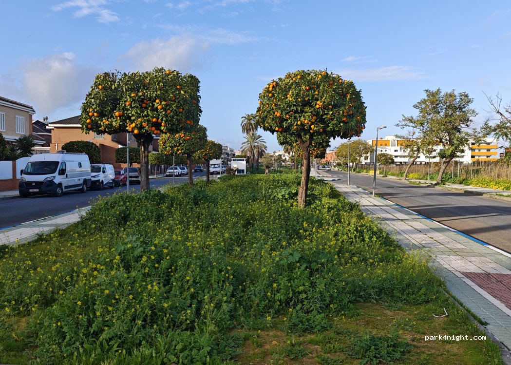 (41920) San Juan de Aznalfarache - 32 Calle Madrid — foto 4