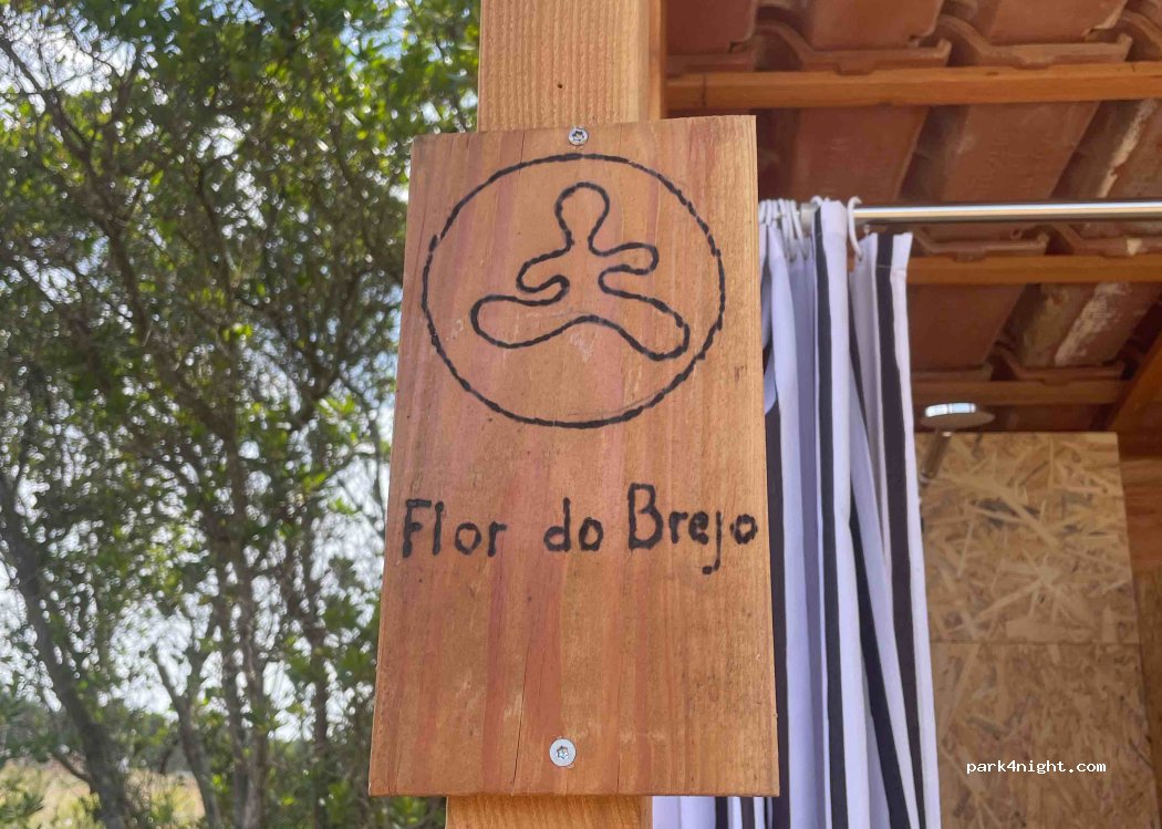Flor do Brejo — foto 2