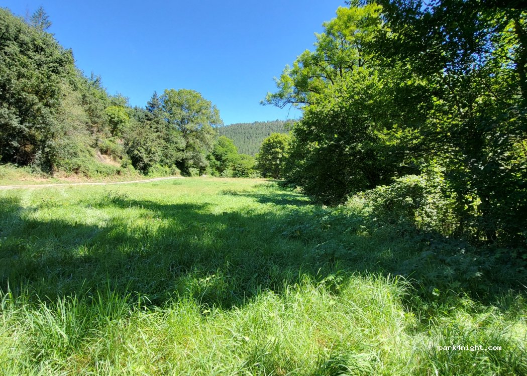 (48100) Chirac - D809 — foto 4