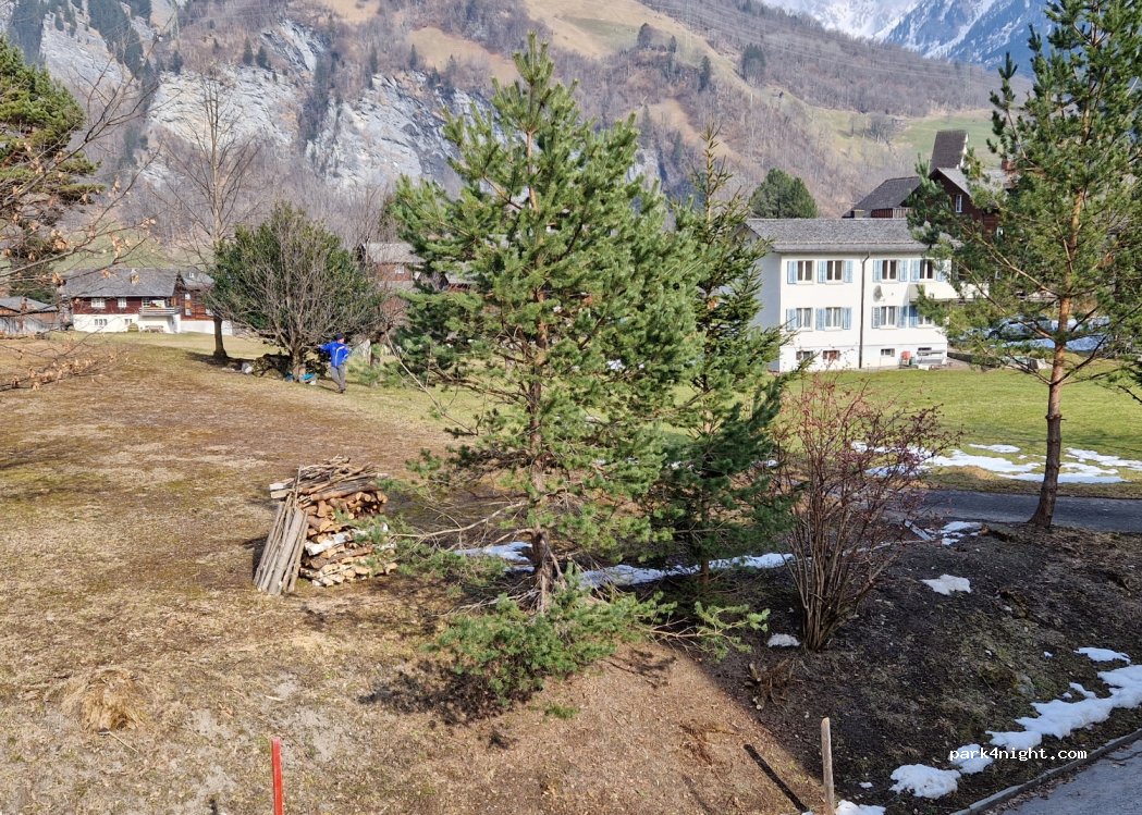 Hotel Segnes — foto 4