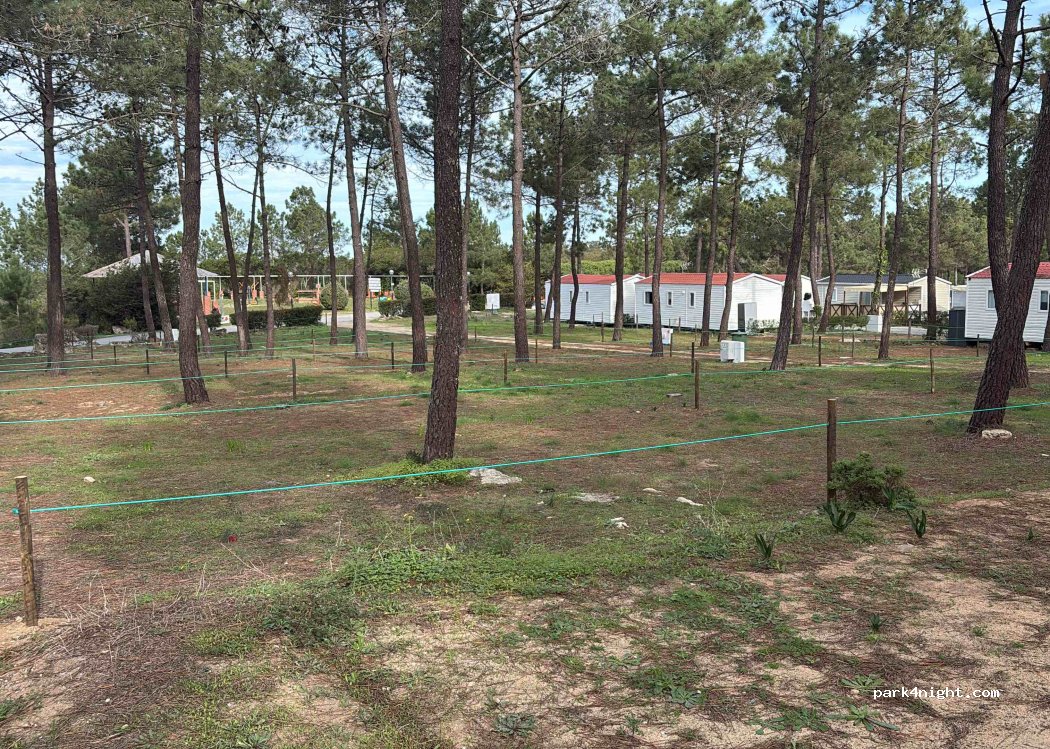 Orbitur Camping Park - Sitava Milfontes — foto 5