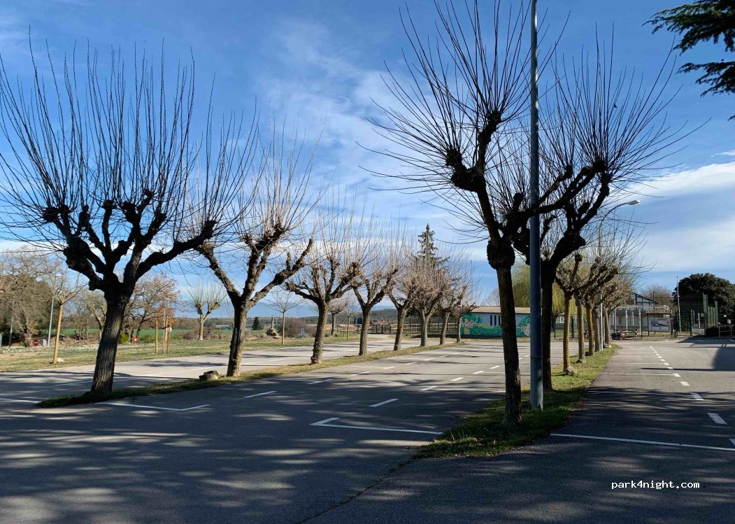 (08553) Seva - 1 BV-5303 — foto