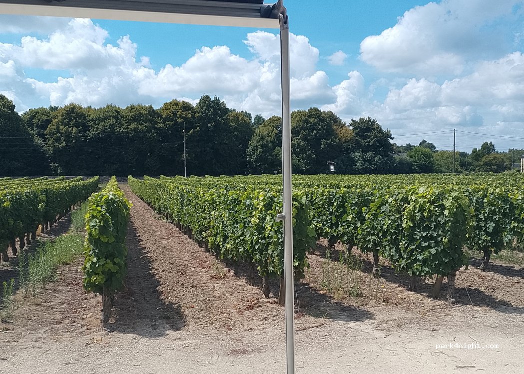 Domaine de la Courtinière — foto 4