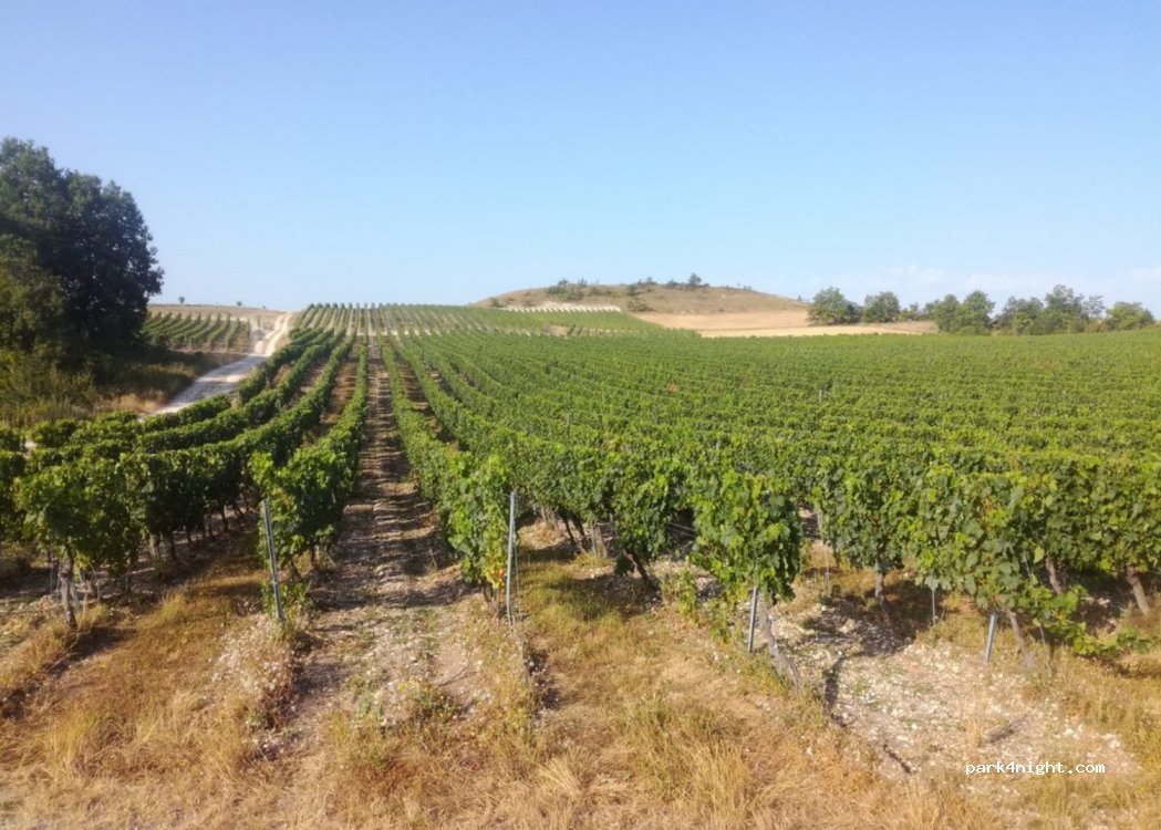 Domaine Péjusclat — foto