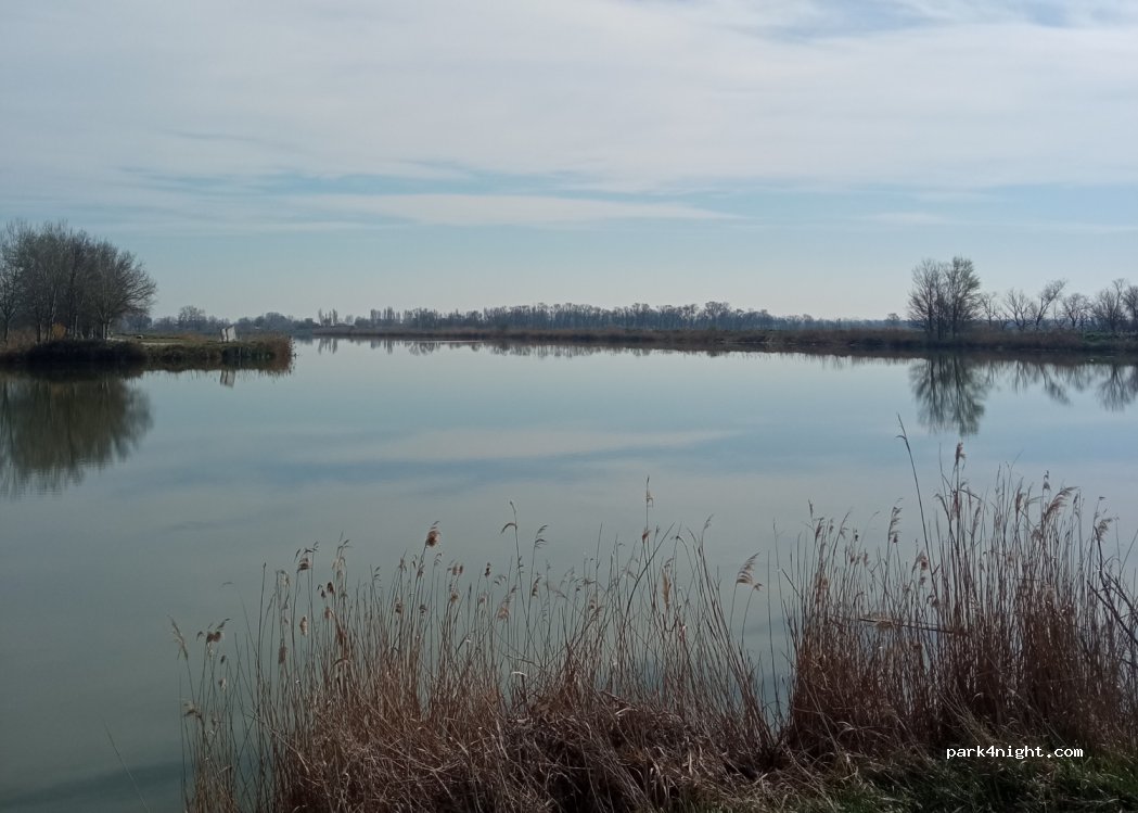 (44020) Ostellato - 1 Strada Argine Mezzano — foto 2
