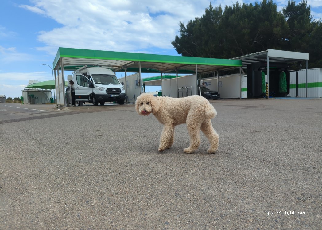 (04620) Vera - 62 Avenida de Baria — foto 2