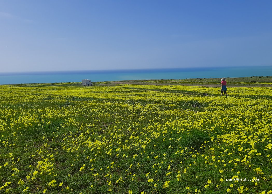 (92100) Agrigento - — foto 5