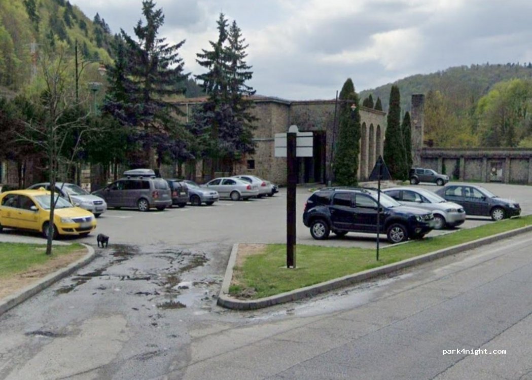 (106100) Sinaia - Calea Prahovei — foto