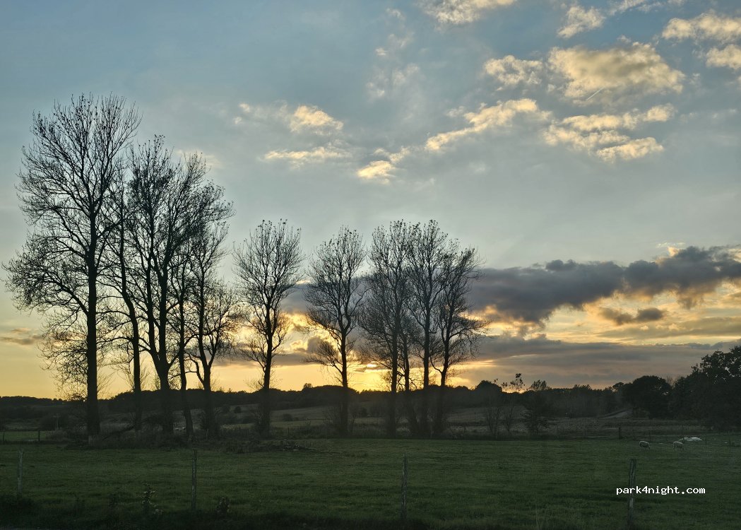 Halkær Å Shelters — foto 5