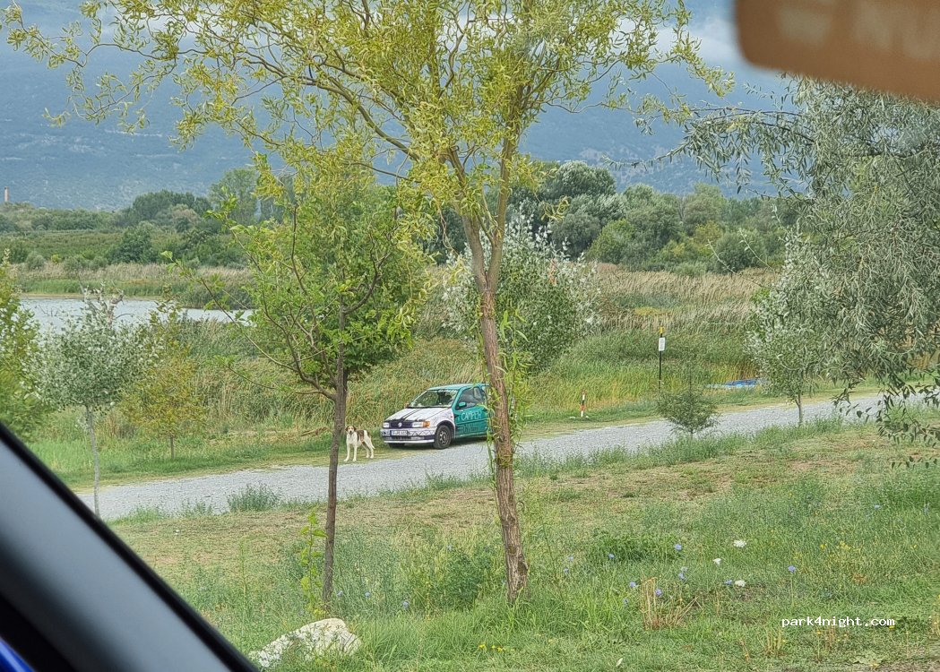 (580 02) Edessa - Eparchiaki Odos Filoton - Arnissas — foto 5