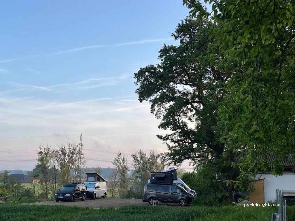 Lisi Grün — foto 3