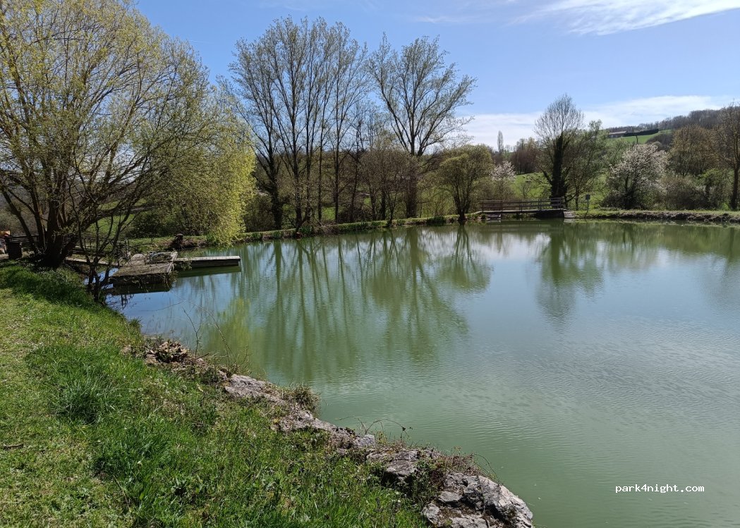 (31360) Auzas - 85 La Grangère — foto 4