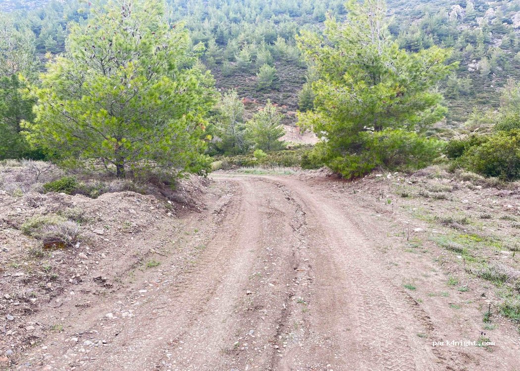 (341 00) Lilantia - Unnamed Road — foto