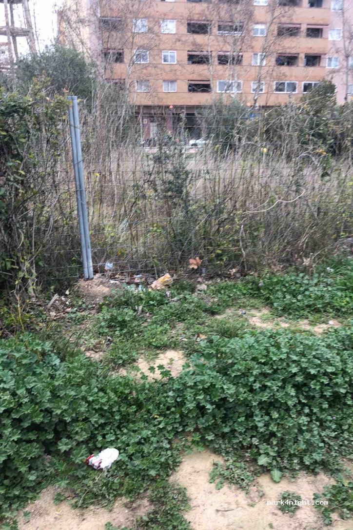 (43850) Cambrils - 1 Carrer Jaume Ferran — foto 3