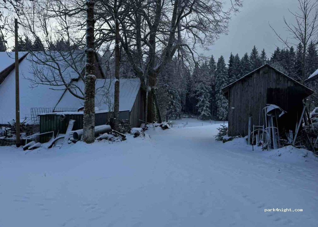 (79271) Sankt Peter - Jockenhof, Hochwald 8 — foto 5