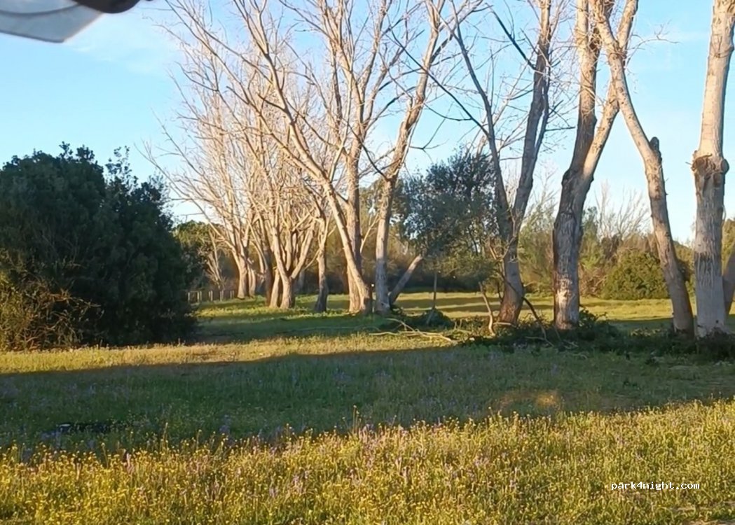 (41850) Villamanrique de la Condesa - Unnamed Road — foto 2