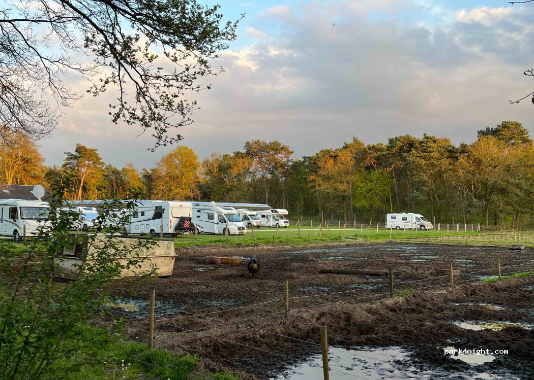 (5473 VP) Heeswijk Dinther - 5 Kaathovensedijk — foto 4