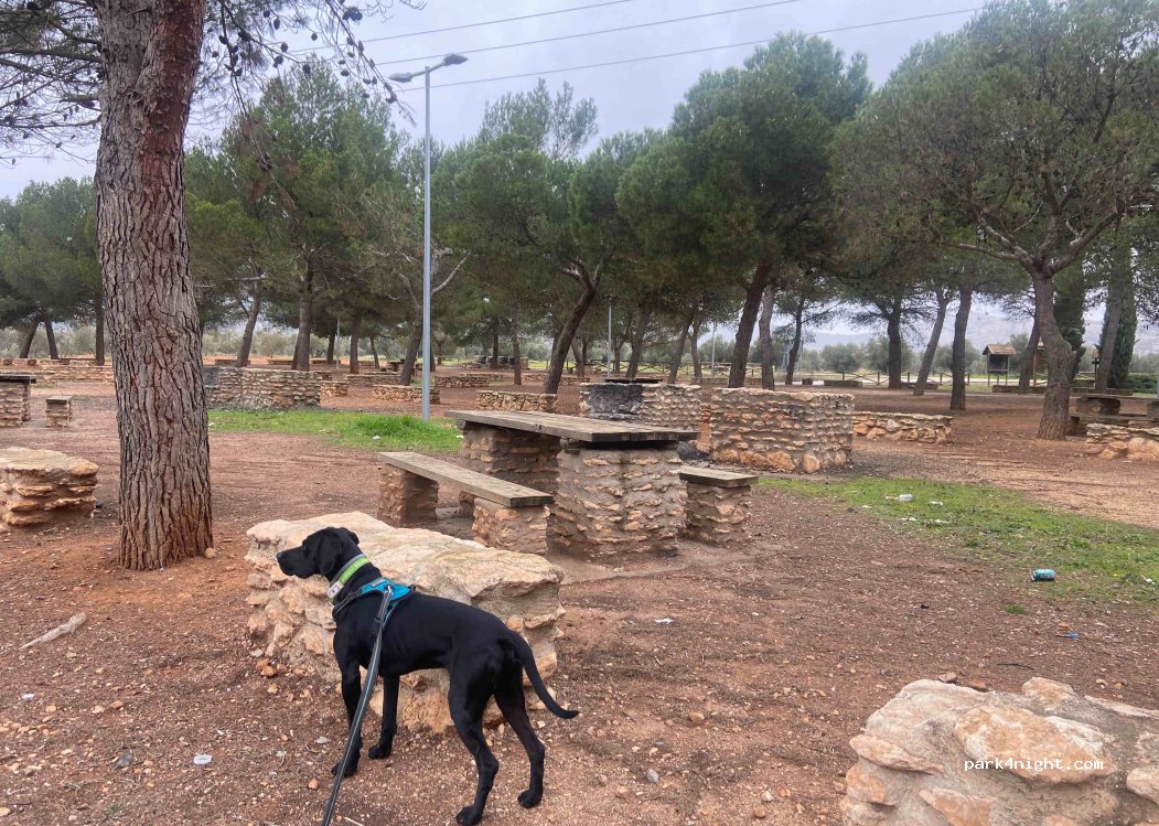 (13640) Herencia - Unnamed Road — foto 4