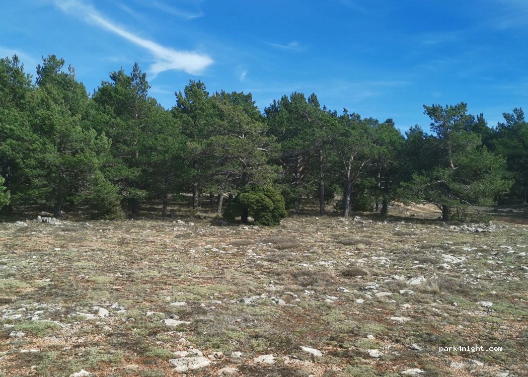 (44146) Monteagudo del Castillo - — foto