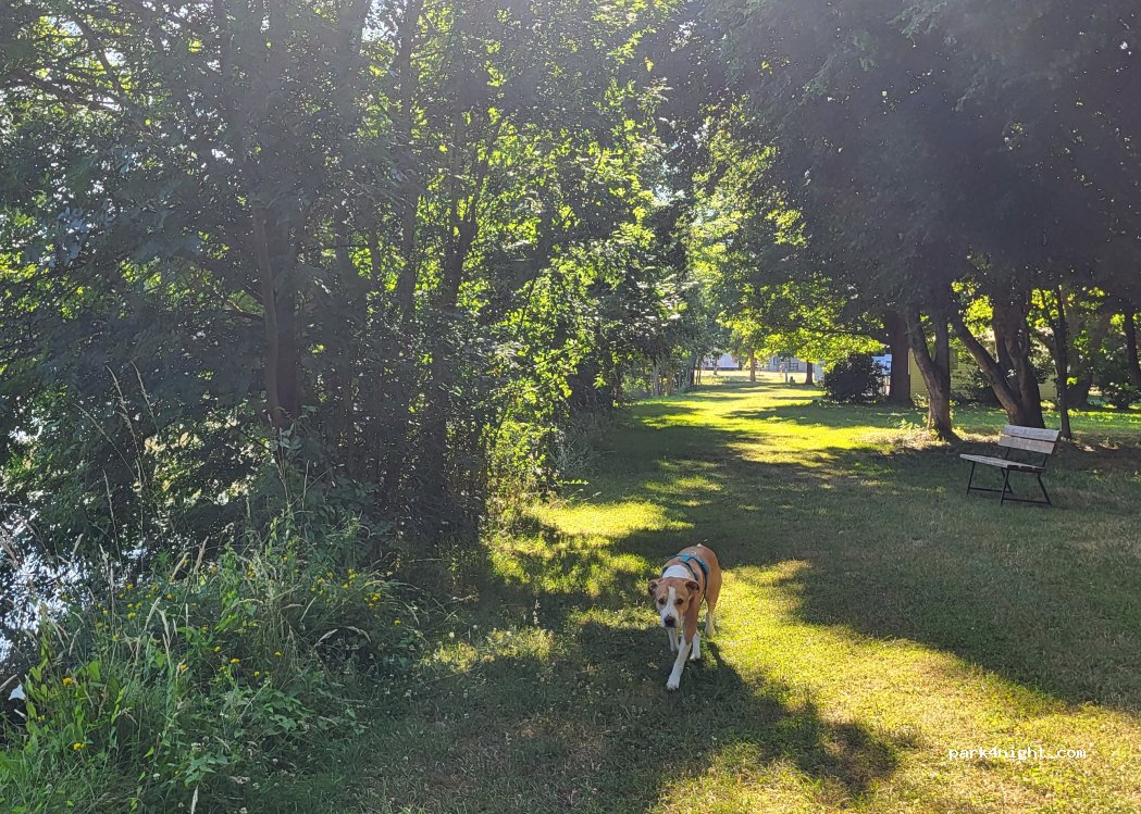 Camping Le parc de launay — foto 5
