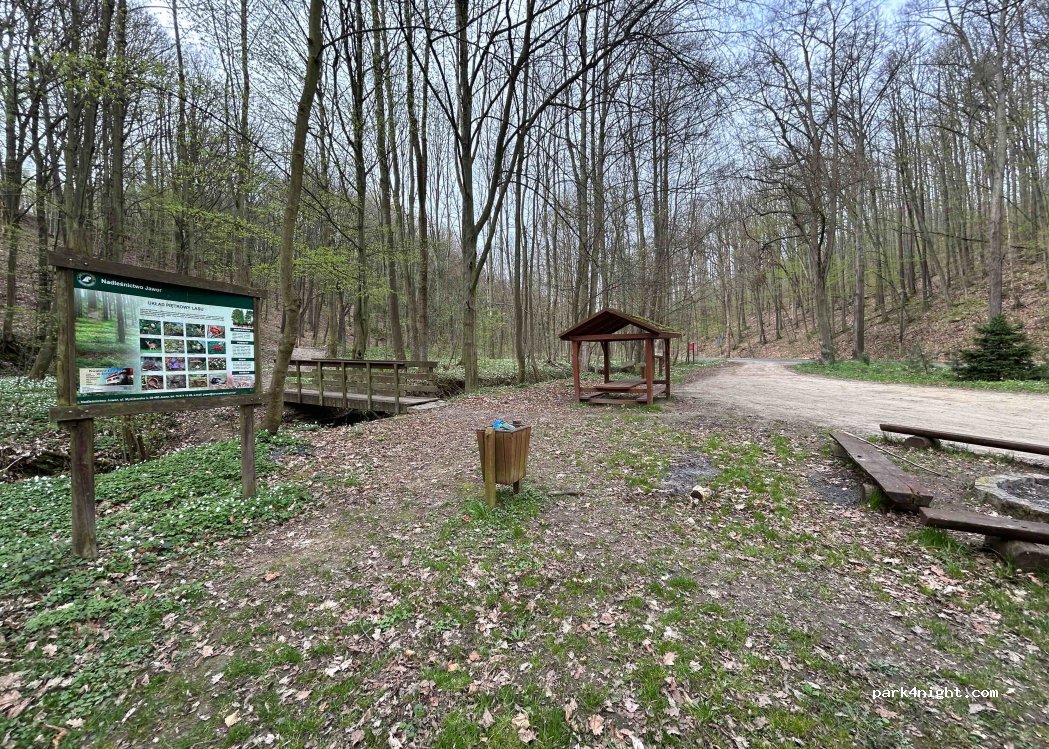 (59-411) Paszowice - Unnamed Road — foto 4