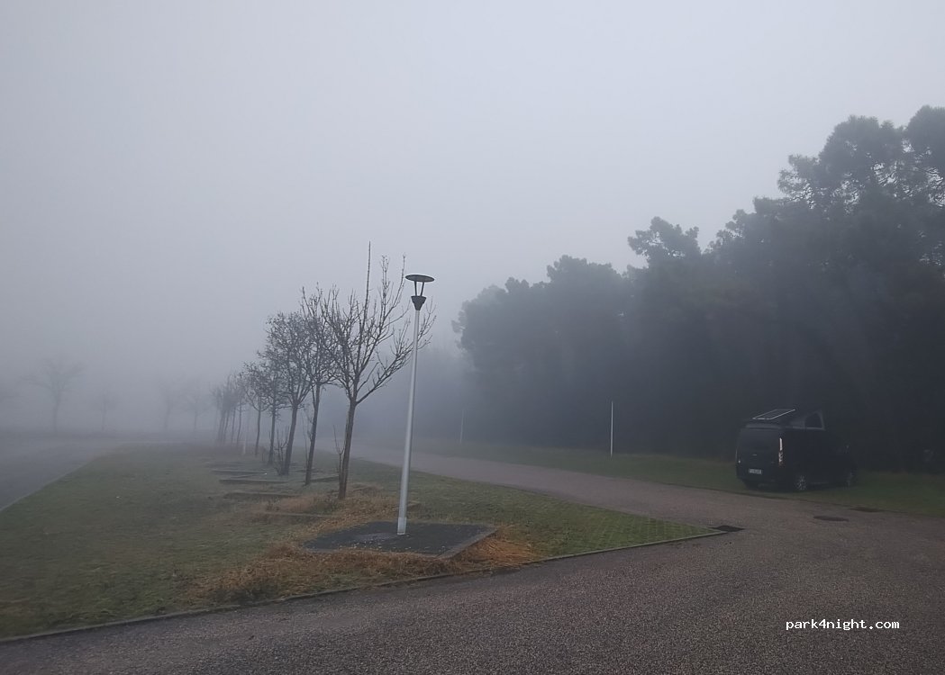 (48122) Punta Marina - 115 Viale della Medusa — foto 5