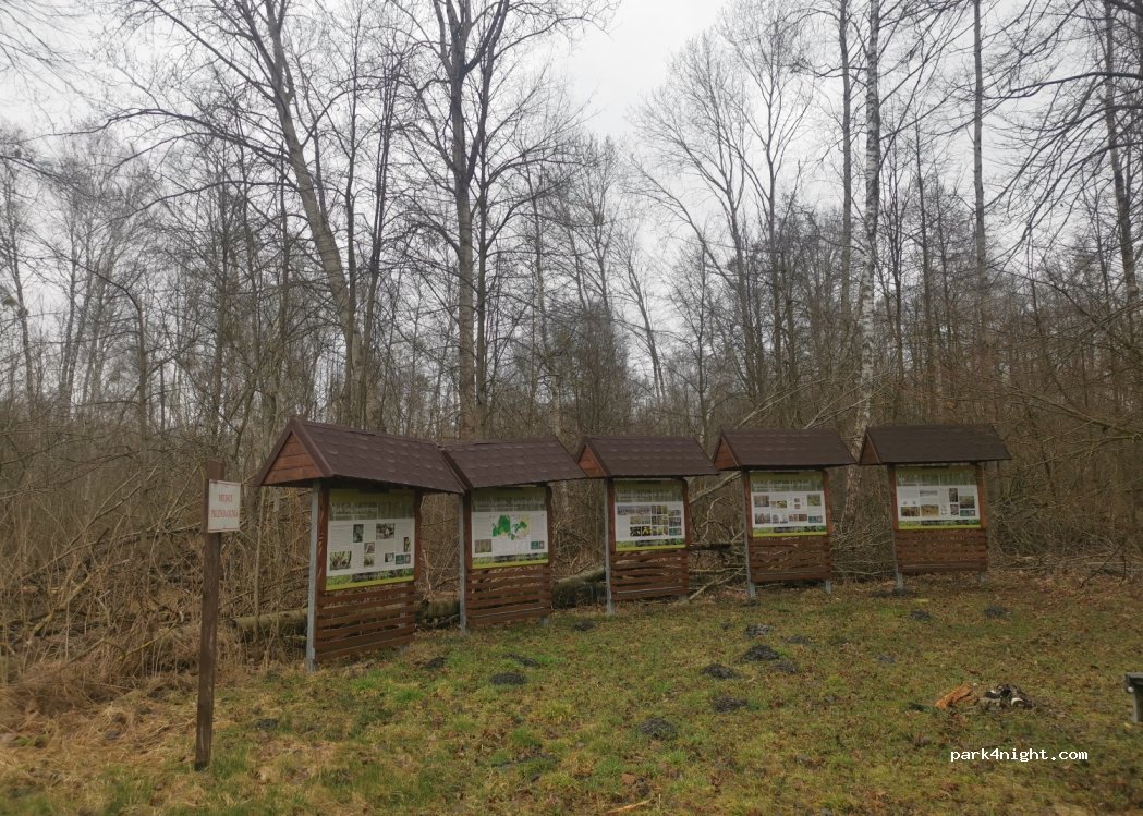 (19-110) Wólka Piaseczna - Unnamed Road — foto 3
