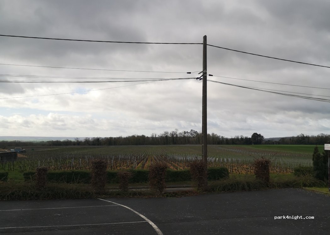 (51220) Merfy - 10 Chemin dit des Couarres la Masse — foto 2