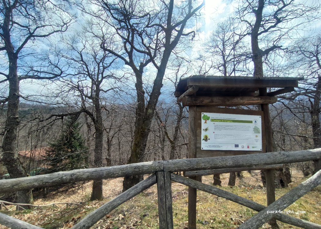 (55030) Careggine - 2 Località Apraia — foto