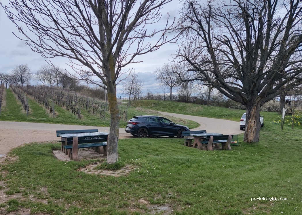 (76829) Landau - Wollmesheimer Hauptstraße — foto