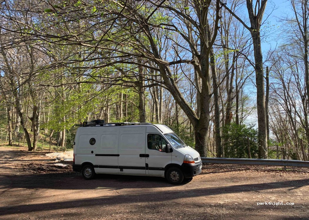 (71018) Vico del Gargano - SP528 — foto
