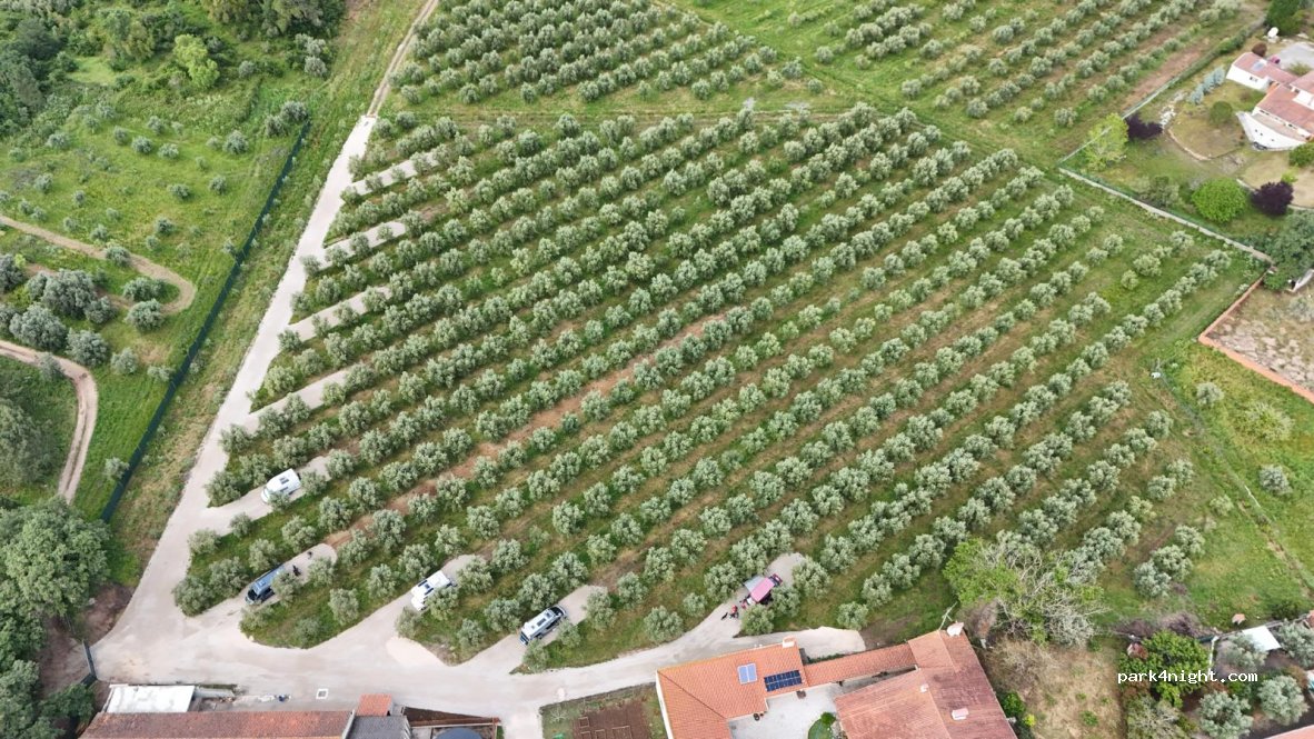 Lagar de Azeite | Casa Féteira — foto 4