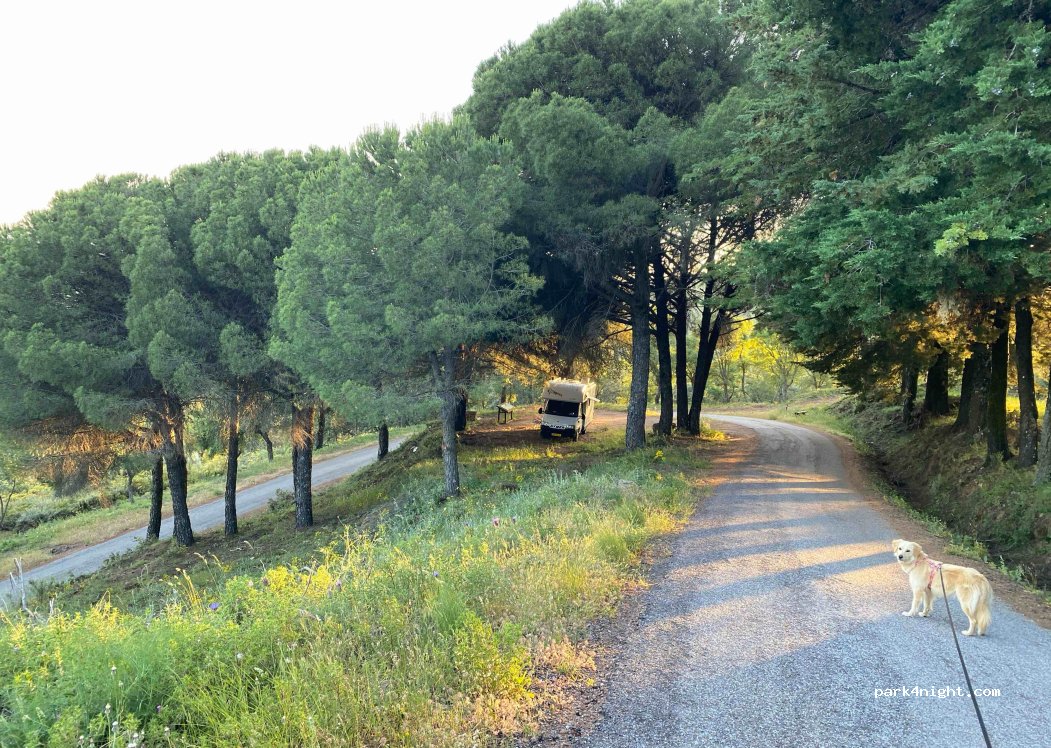 (21350) Almonaster la Real - Unnamed Road — foto 3