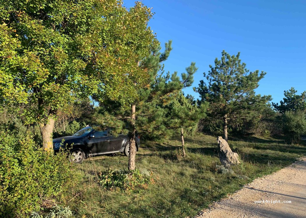 (52220) Gora Glušići - unnamed road — foto 5