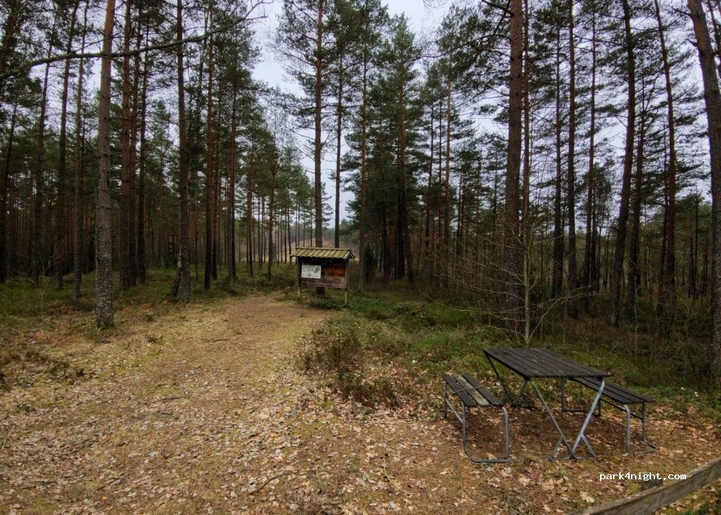 (340 10) Torseryd - Unnamed Road — foto
