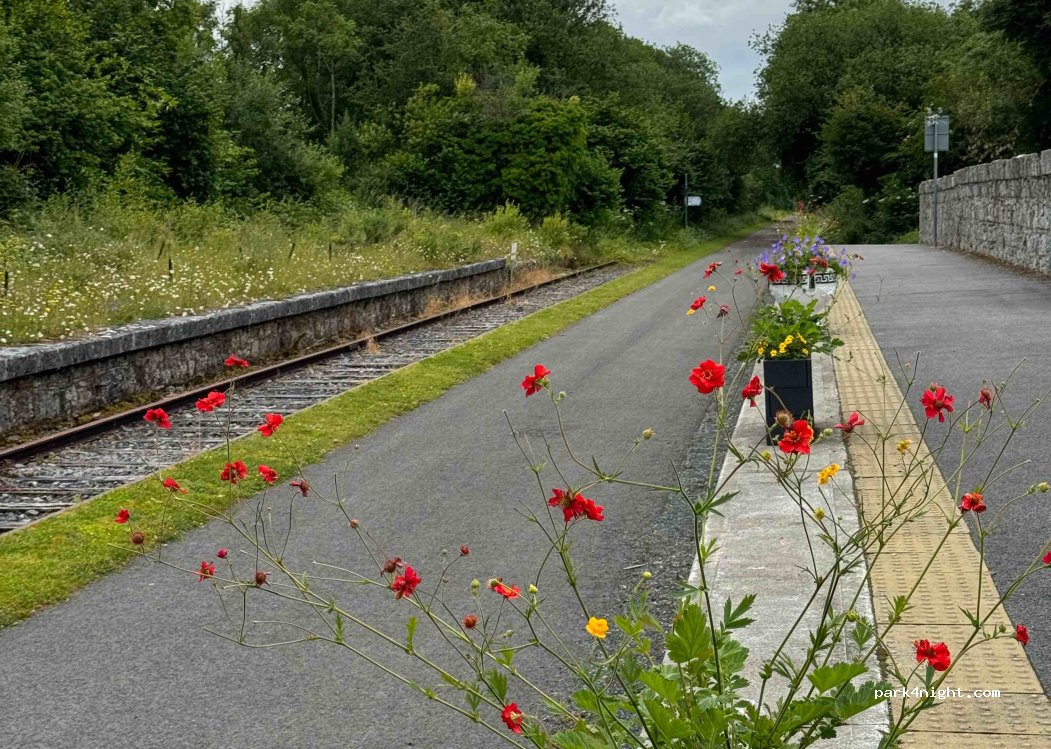 (N91 W2YK) Streamstown - Old Rail Trail Greenway — foto 2