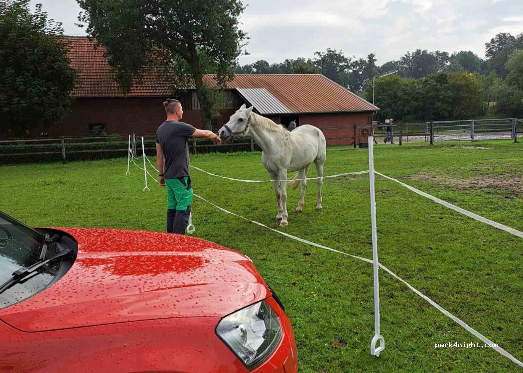 Campingplatz Hahnenberg Olfen — foto 2