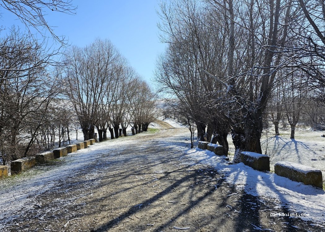 (66000) Çalılı - Unnamed Road — foto 2