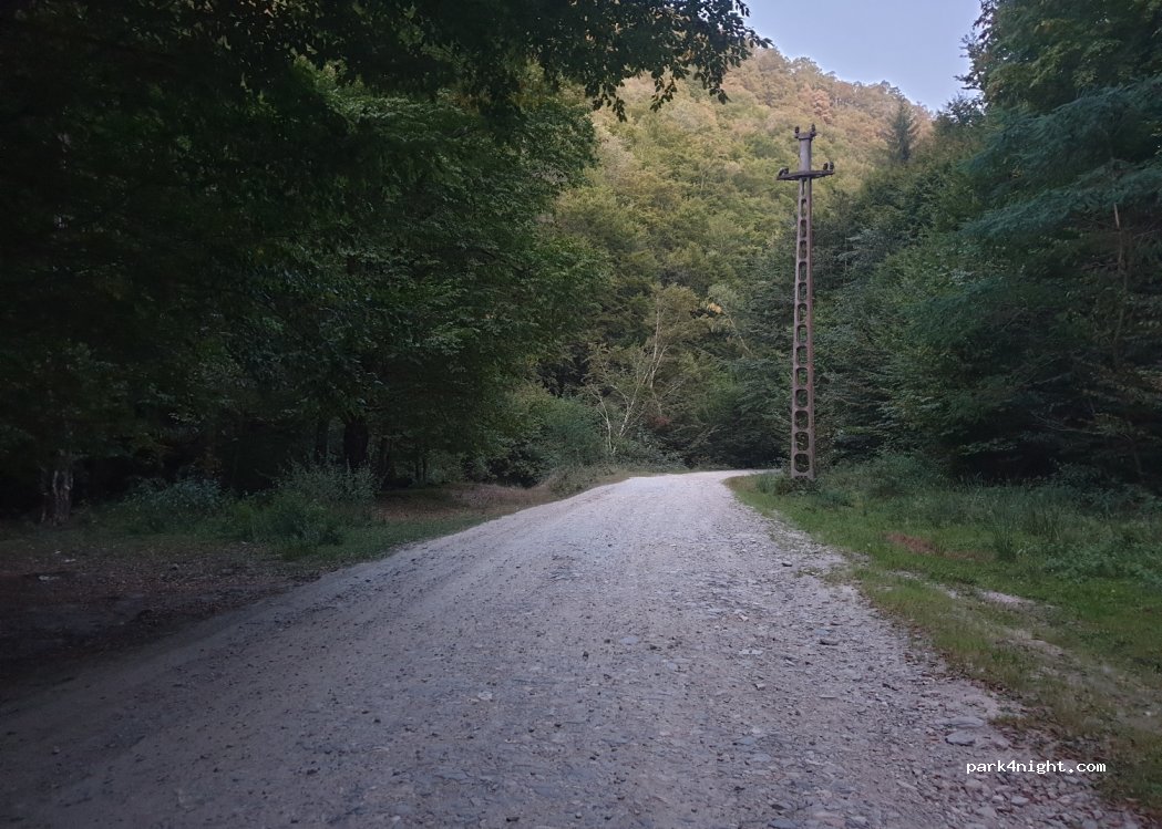 (557110) Jina - Unnamed road — foto 2