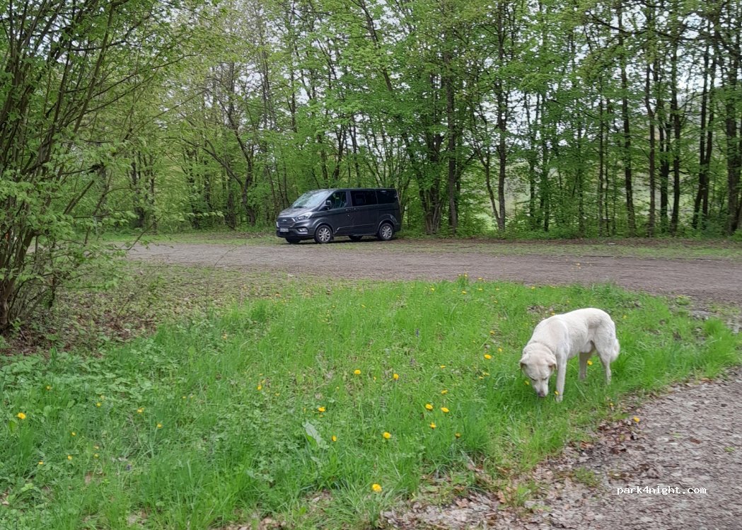 (91631) Wettringen - — foto 3