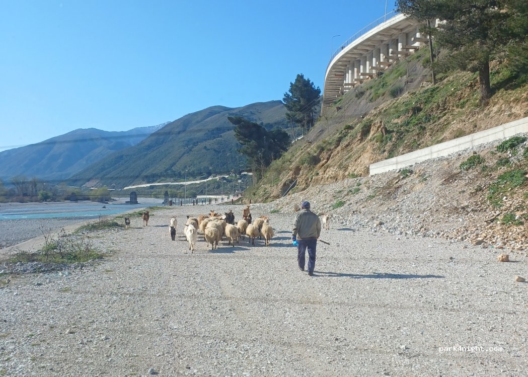 (6301) Tepelenë - SH4 — foto