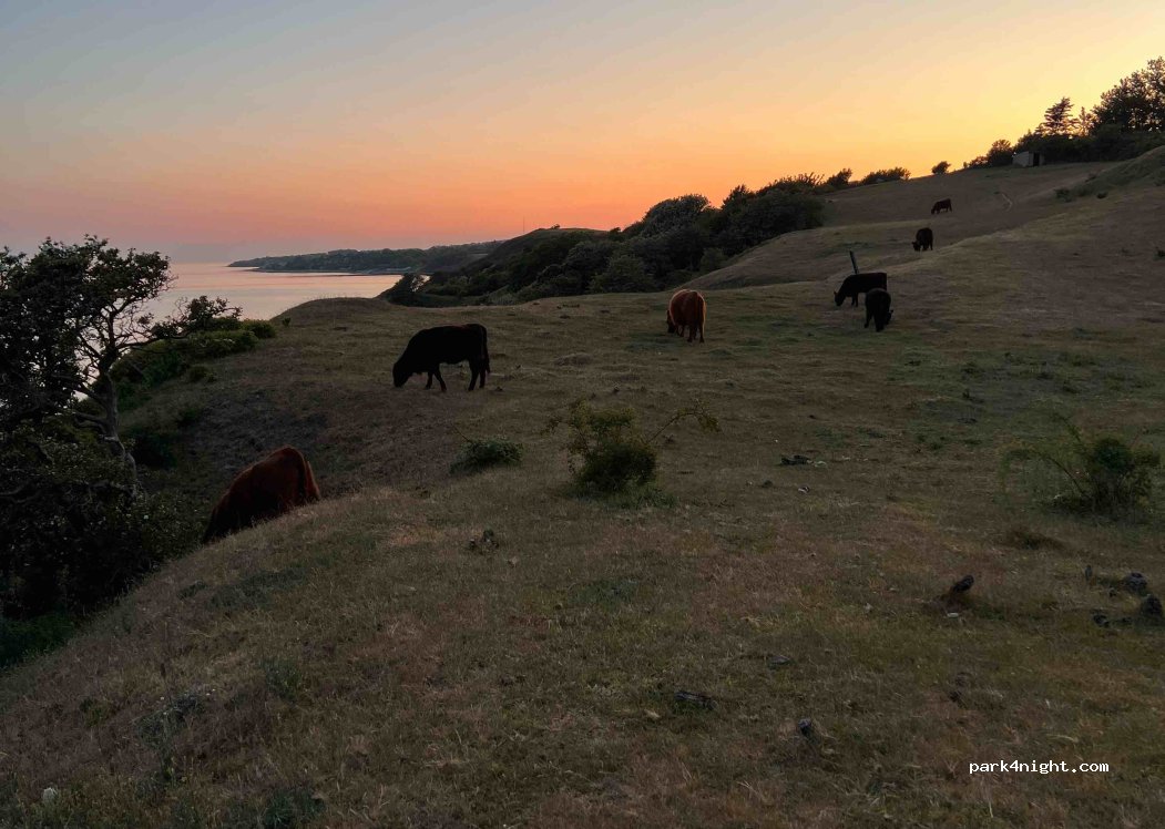​Røsnæs Naturcamping - Elverdam — foto 2