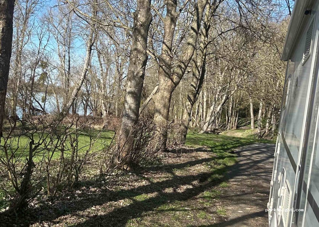 (71140) Saint-Aubin-sur-Loire - Rue du Bord de Loire — foto 5