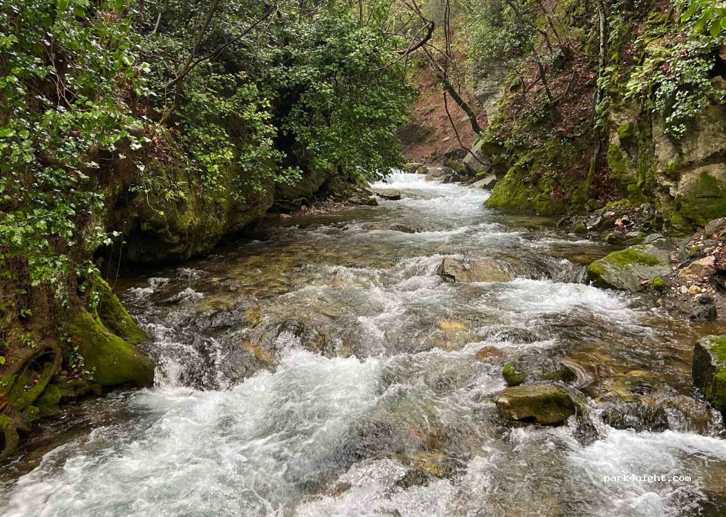 Ağlayan Şelale Kamping, Weeping Falls — foto