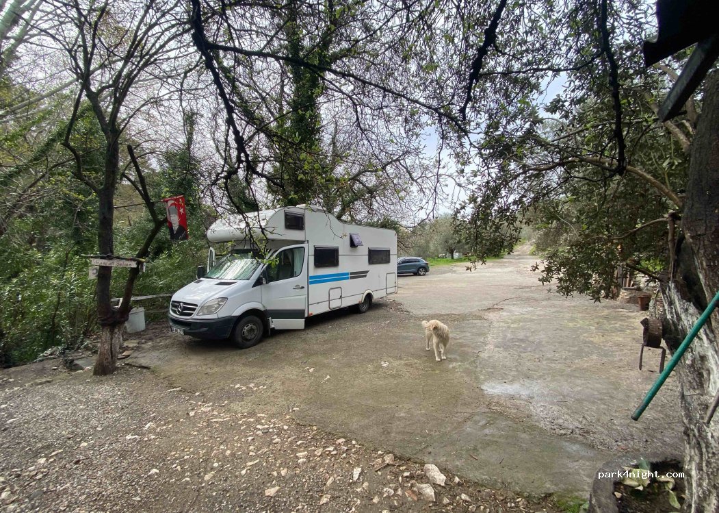 Ağlayan Şelale Kamping, Weeping Falls — foto 4