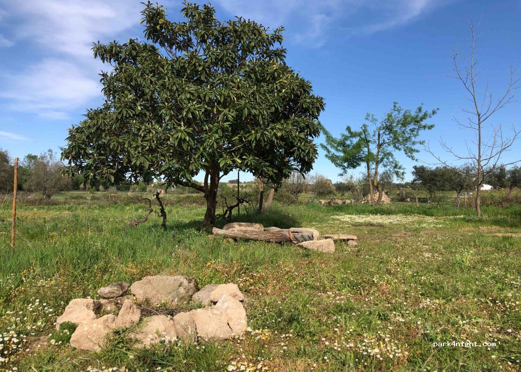 MaAmLaDa — foto 2
